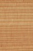 Dřevěná podlahová lišta Pedross 50 x 18 - Modřín, 250 cm
