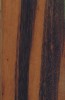 Dřevěná podlahová lišta Pedross 50 x 18 - Tigerwood, 250 cm