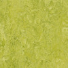Marmoleum® Marbled Real - 3224 Chartreuse, tl. 2,00 mm, šíře 200 cm