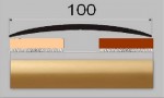 Přechodový profil 100 mm bez nivelace, šroubovací - 100 cm - zlato